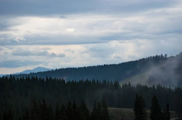Carpathian mountains landscape video footage in the rain with fog