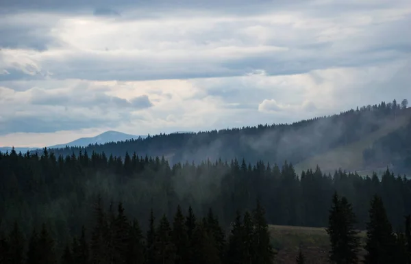 Montañas Cárpatas Paisaje Video Filmación Bajo Lluvia Con Niebla — Foto de Stock