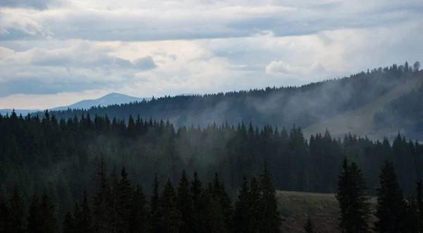 Karpat Dağları Yağmur Altında Sisli Video Görüntüleri — Stok fotoğraf