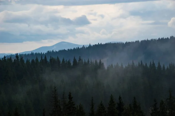 Carpathian mountains landscape video footage in the rain with fog