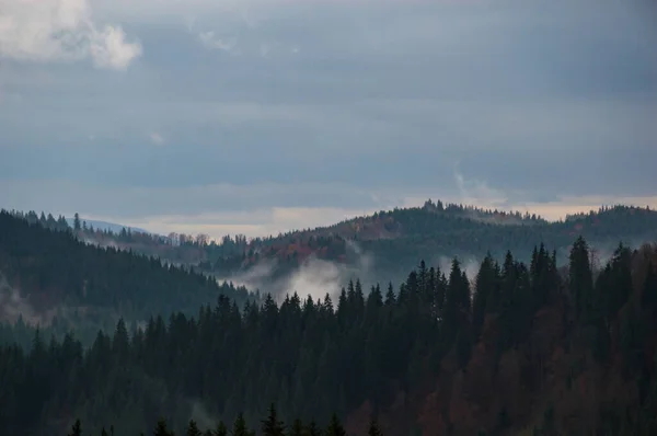 喀尔巴阡山脉景观视频镜头在雨中的雾 — 图库照片