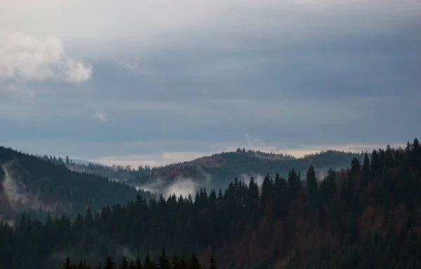 Montañas Cárpatas Paisaje Video Filmación Bajo Lluvia Con Niebla — Foto de Stock