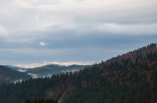 Karpaten Bergen Landschap Video Beelden Regen Met Mist — Stockfoto
