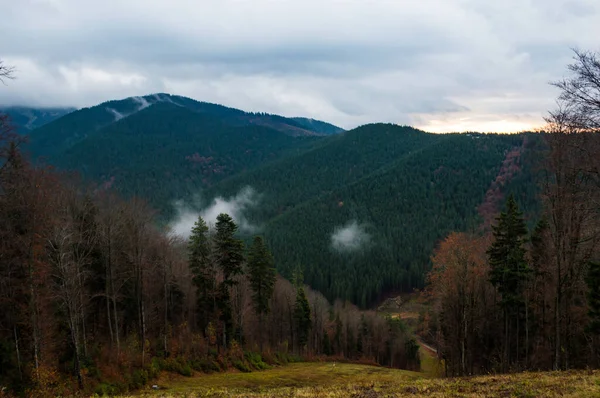 喀尔巴阡山脉景观视频镜头在雨中的雾 — 图库照片