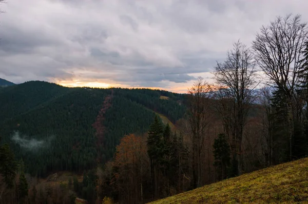 Karpat Dağları yağmur altında sisli video görüntüleri