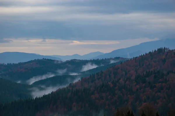 Cárpatos Montanhas Paisagem Vídeo Imagens Chuva Com Nevoeiro — Fotografia de Stock