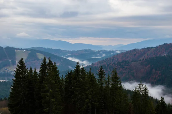 Carpazi Montagne Paesaggio Filmato Sotto Pioggia Con Nebbia — Foto Stock