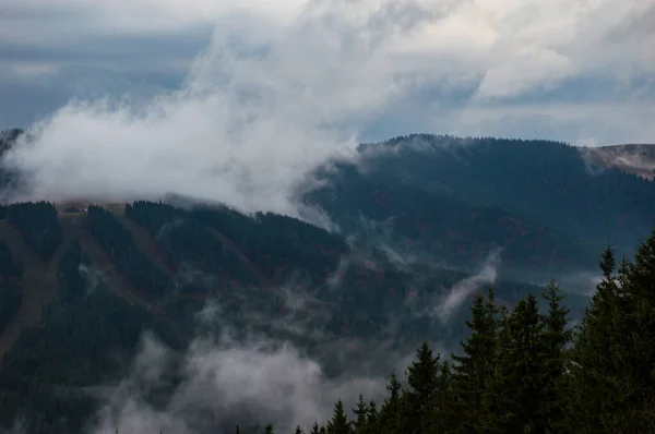 Montañas Cárpatas Paisaje Video Filmación Bajo Lluvia Con Niebla — Foto de Stock