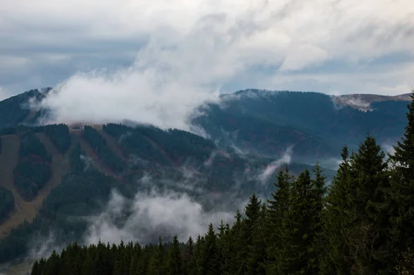 Montañas Cárpatas Paisaje Video Filmación Bajo Lluvia Con Niebla — Foto de Stock