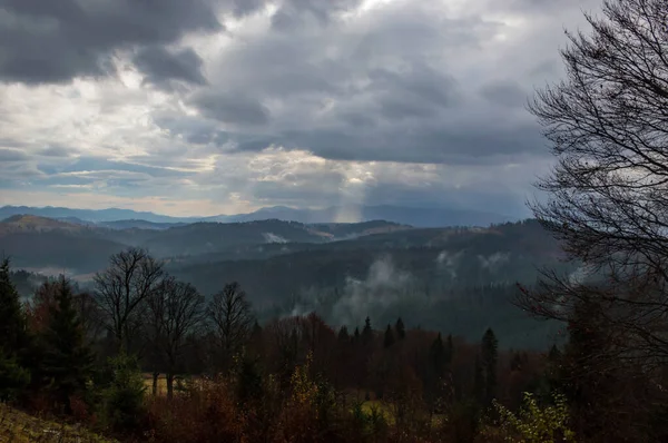 Karpaty Góry Krajobraz Wideo Deszczu Mgłą — Zdjęcie stockowe