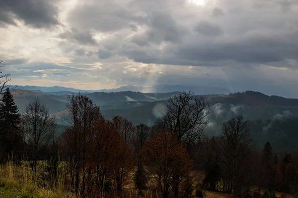 Montañas Cárpatas Paisaje Video Filmación Bajo Lluvia Con Niebla — Foto de Stock