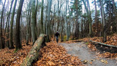 Sonbahar parkında bisiklet süren amatör bir binici.