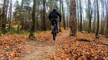 Sonbahar parkında bisiklet süren amatör bir binici.