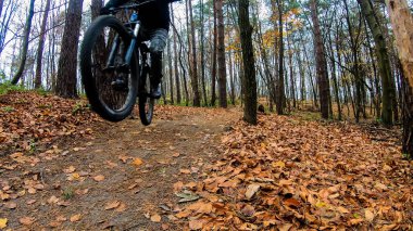 Sonbahar parkında bisiklet süren amatör bir binici.