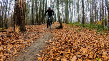 Sonbahar parkında bisiklet süren amatör bir binici.