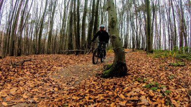 Sonbahar parkında bisiklet süren amatör bir binici.