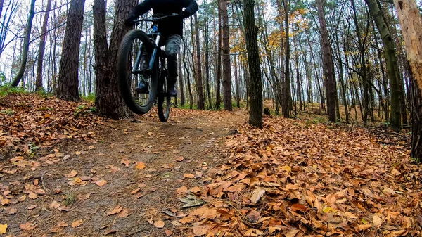 Amateur Jinete Bicicleta Parque Otoño — Foto de Stock