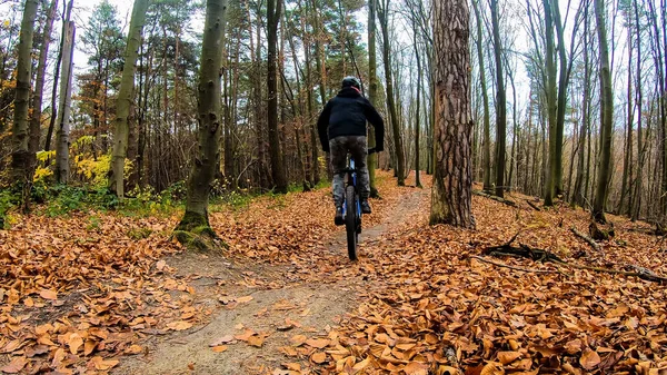 Hobbyfahrer Auf Dem Fahrrad Herbstpark — Stockfoto