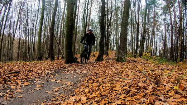 Cavalier Amateur Sur Vélo Dans Parc Automne — Photo