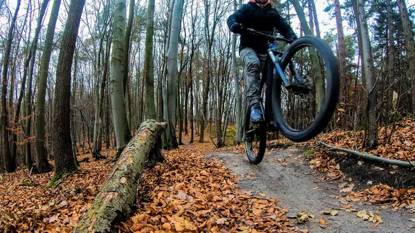 Любительский Велогонщик Велосипеде Осеннем Парке — стоковое фото