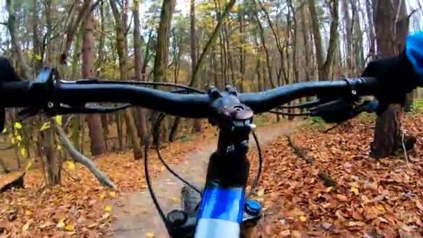 Cavalier amateur sur le vélo dans le parc d'automne — Video