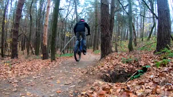 가을 공원에서 자전거를 타고 달리는 아마추어 선수 — 비디오