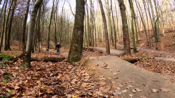 Amateur rider on the bicycle in the autumn park — Stock Video