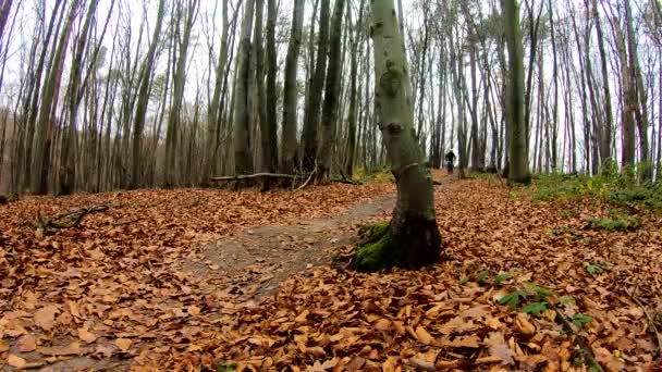 Amateur jinete en la bicicleta en el parque de otoño — Vídeos de Stock