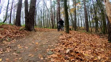 Sonbahar parkında bisiklet süren amatör bir binici.