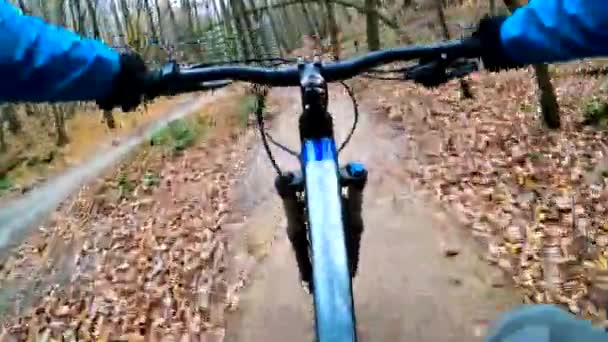 가을 공원에서 자전거를 타고 달리는 아마추어 선수 — 비디오