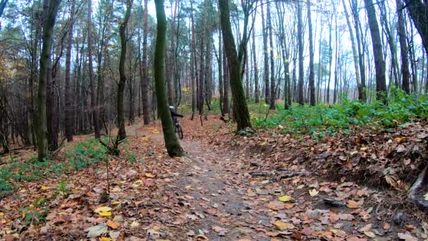 Cavalier amateur sur le vélo dans le parc d'automne 
