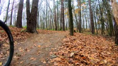 Sonbahar parkında bisiklet süren amatör bir binici.