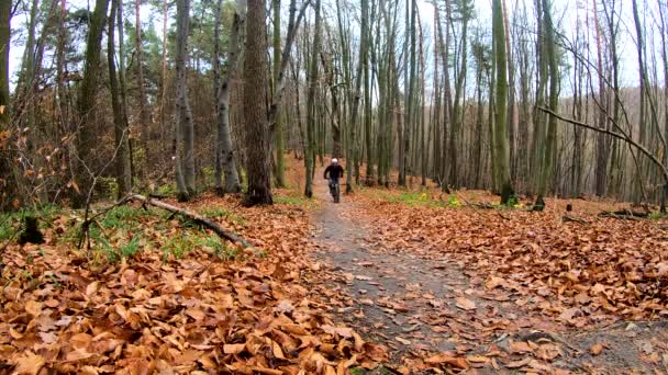 Amateur jinete en la bicicleta en el parque de otoño — Vídeos de Stock