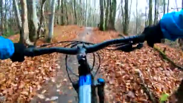 Amateur rider on the bicycle in the autumn park — Stock Video