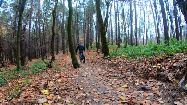 Cavalier amateur sur le vélo dans le parc d'automne — Video