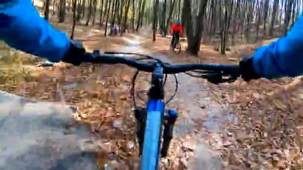 Любительский велогонщик на велосипеде в осеннем парке — стоковое видео