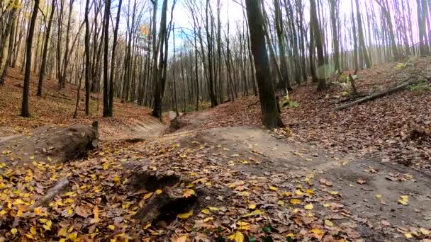 Amatér na kole v podzimním parku — Stock video