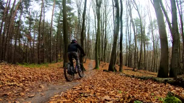 Cavalier amateur sur le vélo dans le parc d'automne 