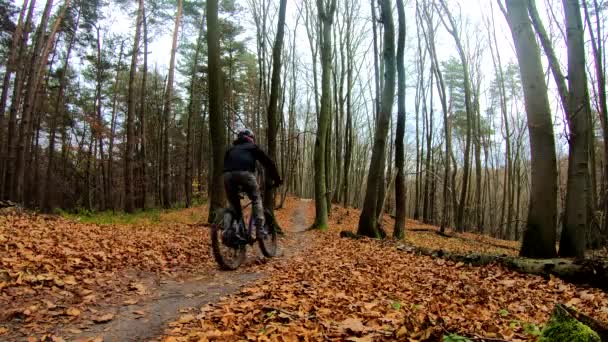 Amatorski jeździec na rowerze w jesiennym parku — Wideo stockowe