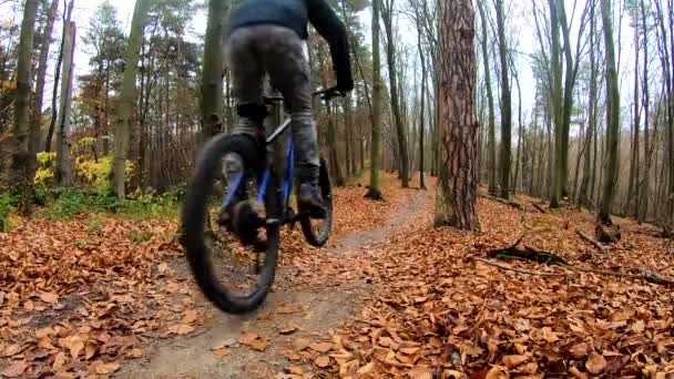 Hobbyfahrer auf dem Fahrrad im Herbstpark — Stockvideo