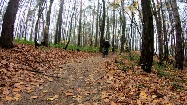 Cavalier amateur sur le vélo dans le parc d'automne — Video