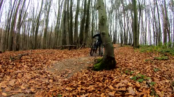 Sonbahar parkında bisiklet süren amatör bir binici. — Stok video