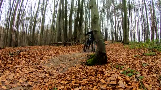 Amateur rijder op de fiets in het najaarspark — Stockvideo