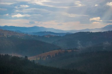 Sonbahar manzarası sisli yağmurlu havada