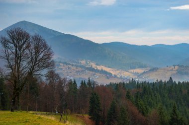 Sonbahar manzarası sisli yağmurlu havada