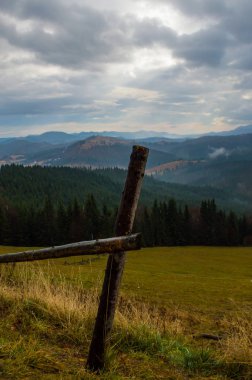 Sonbahar manzarası sisli yağmurlu havada