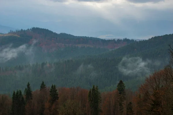 Autumn landscape background in the rain weather with fog