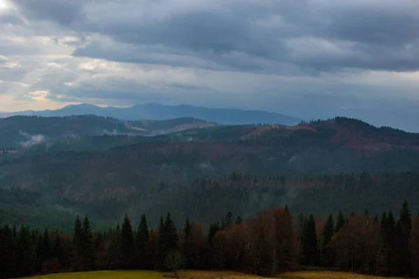 Herbst Landschaft Hintergrund Regen Wetter Mit Nebel — Stockfoto