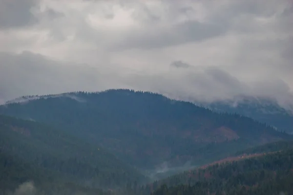 Fondo Paisaje Otoñal Clima Lluvia Con Niebla — Foto de Stock