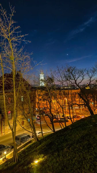 Nacht Lviv Oude Stad Architectuur Kerst — Stockfoto